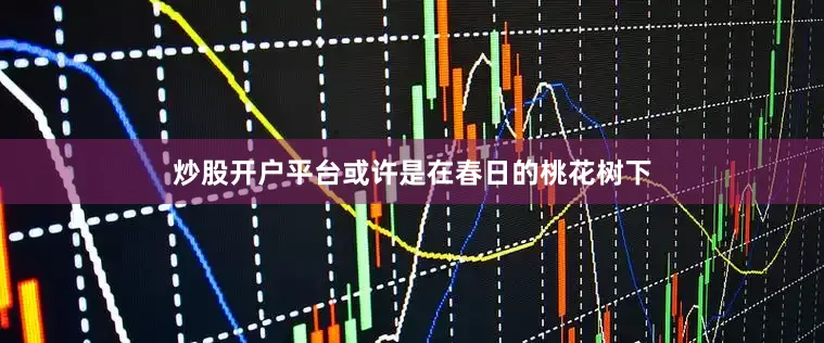 炒股开户平台或许是在春日的桃花树下